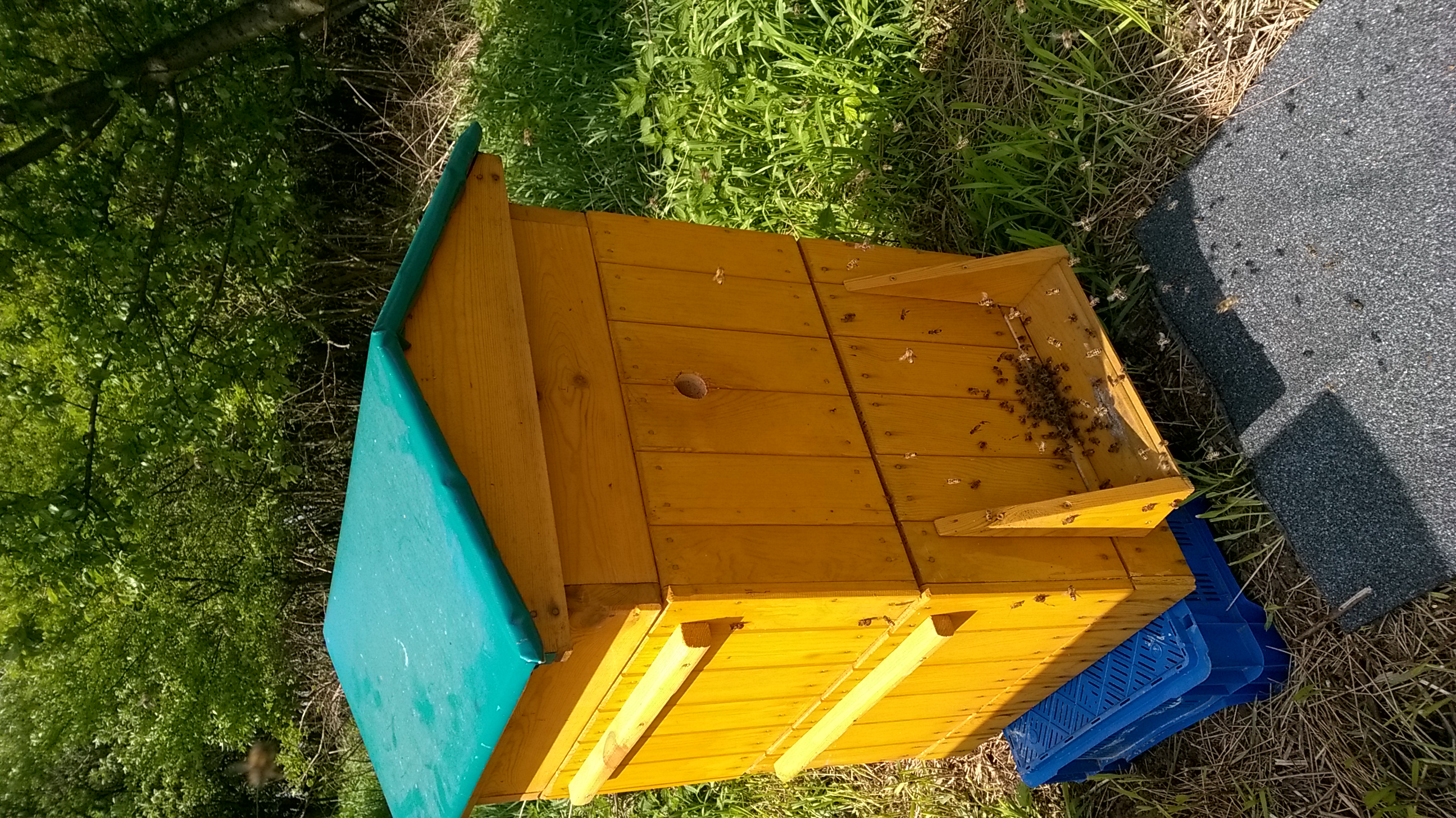 Ule z Podkarpacia