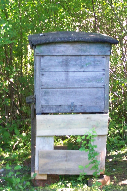 Mój "dadant"