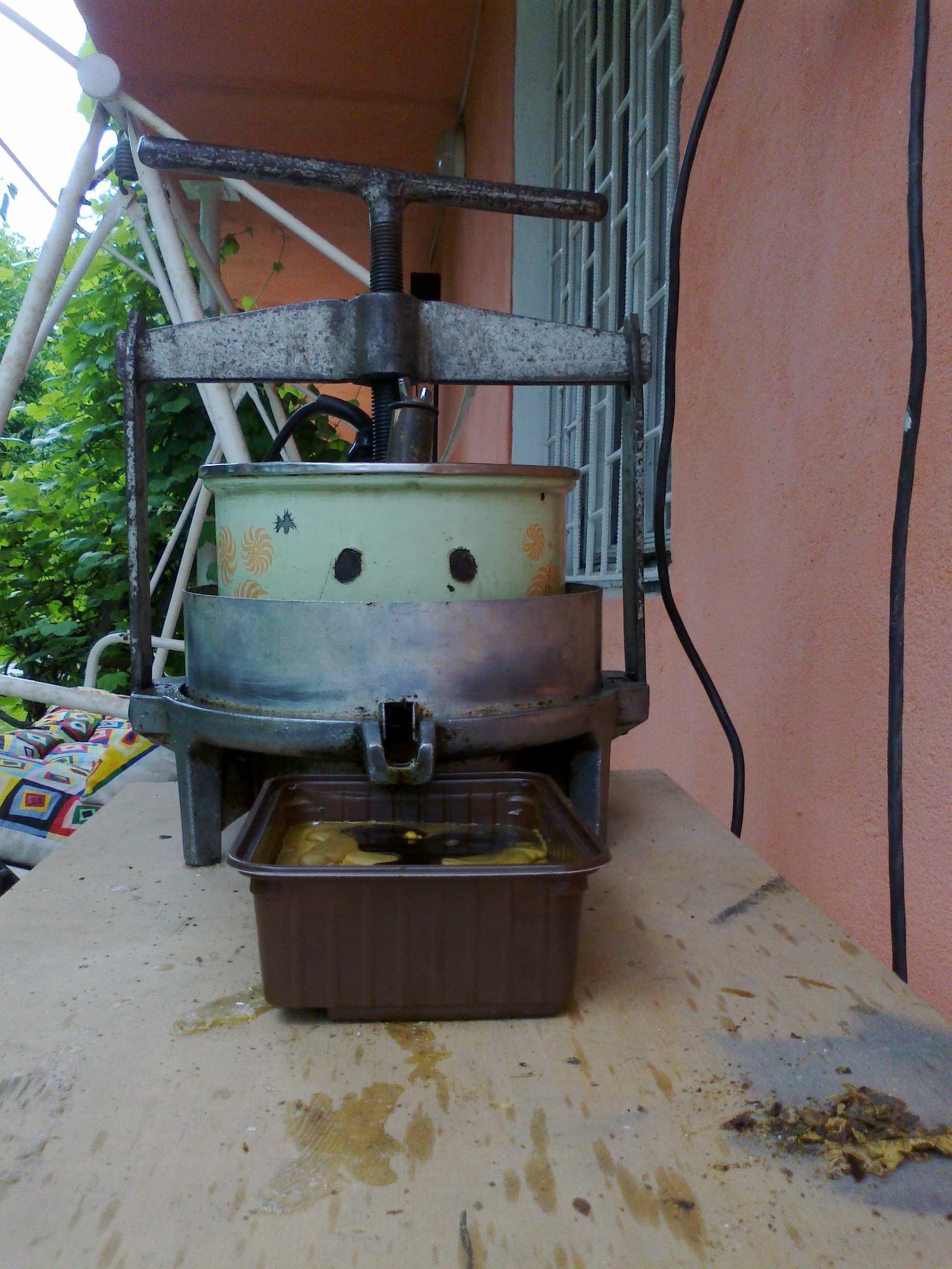 topiarka elektryczna